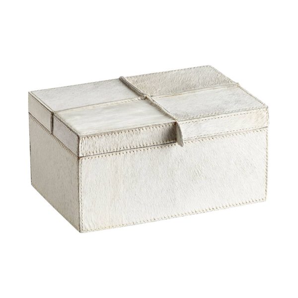 Brixton Container By Cyan Design For Cheap
